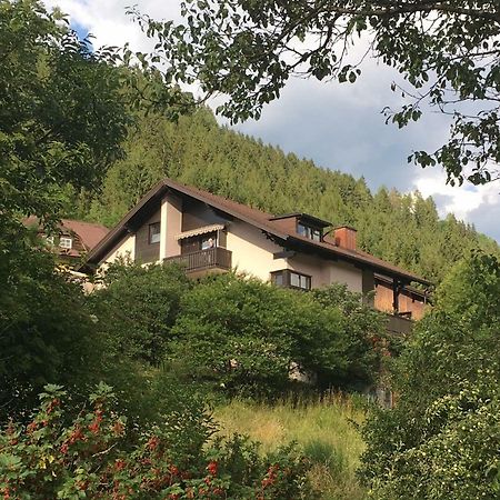 Haus Agnes, Murau Zewnętrze zdjęcie