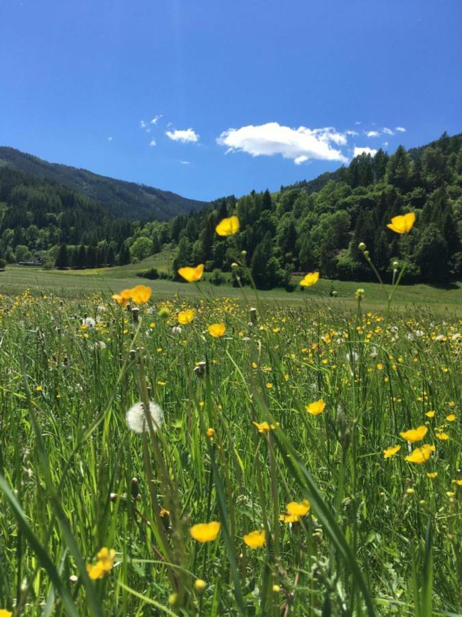 Haus Agnes, Murau Zewnętrze zdjęcie