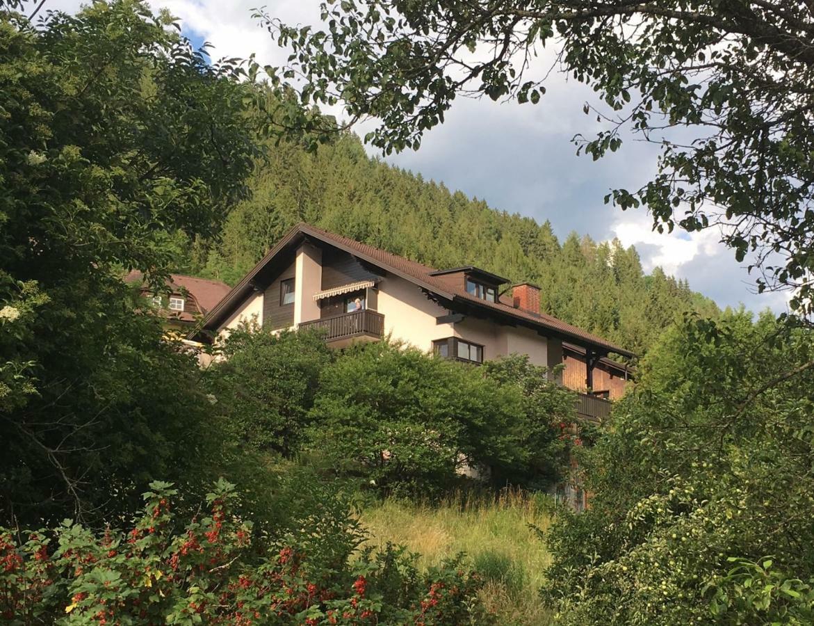 Haus Agnes, Murau Zewnętrze zdjęcie